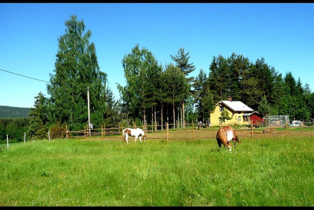 Little Forest House "Our Little Farm" Eksharad Екстер'єр фото