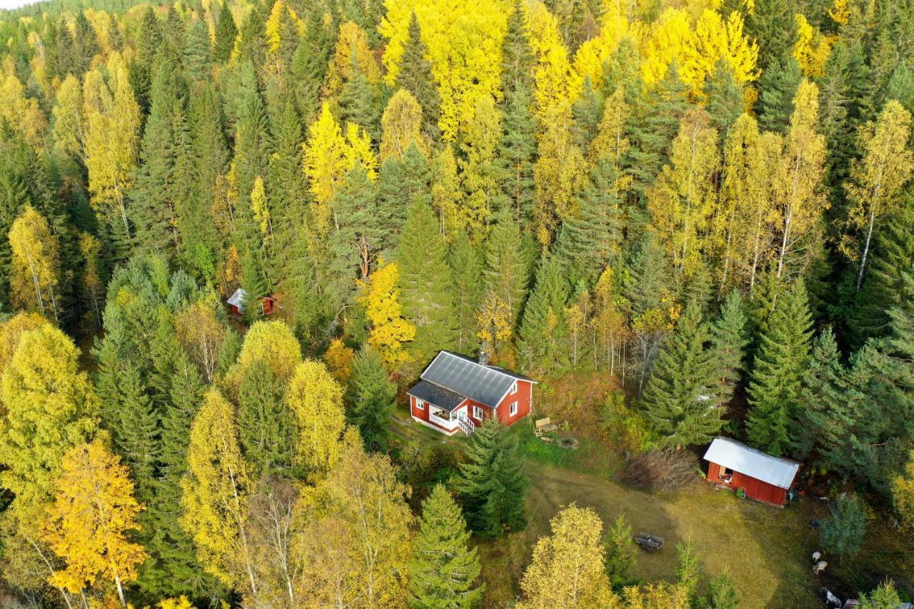 Little Forest House "Our Little Farm" Eksharad Екстер'єр фото